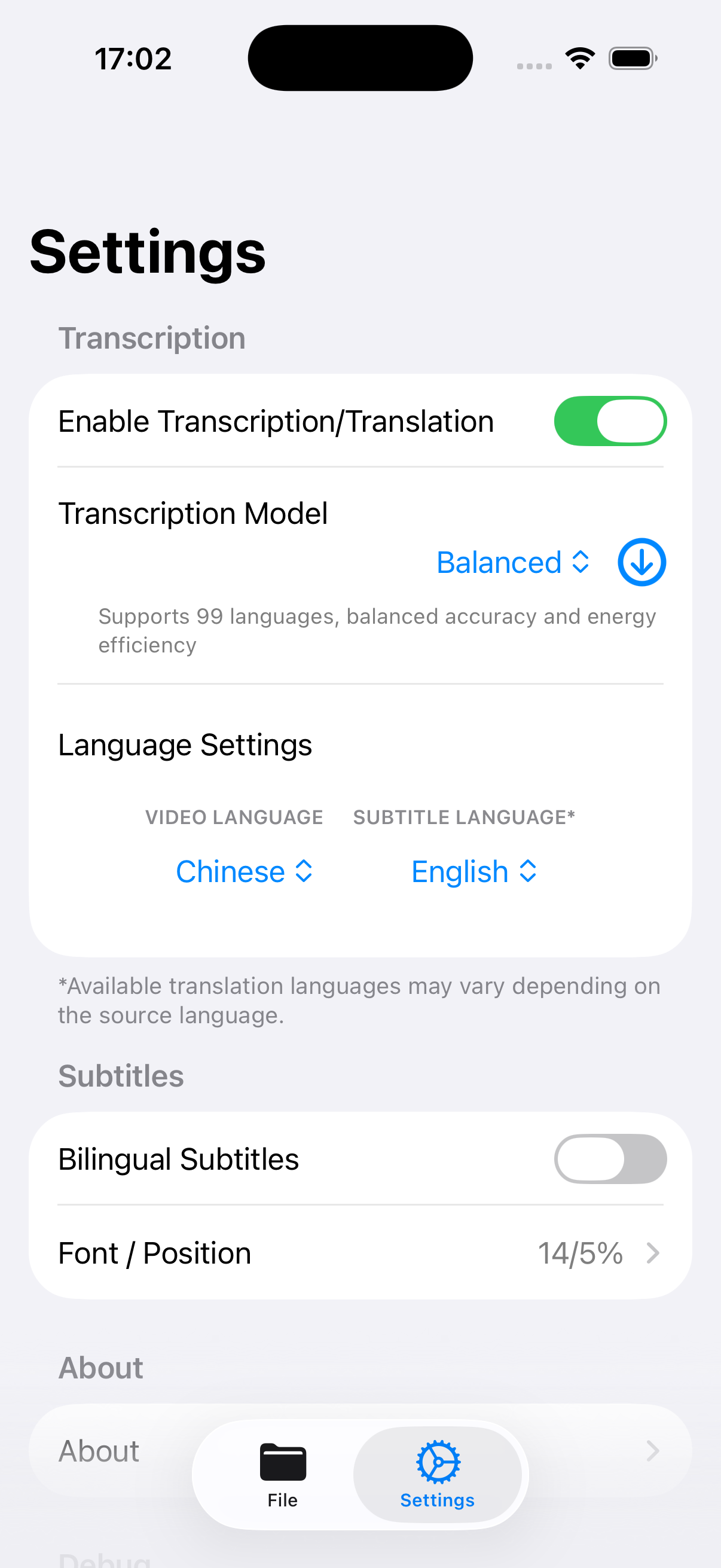 Transcription model settings